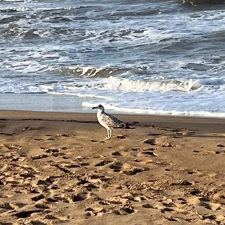 Apartment Urb Oasis Park Ii Denia, Marinas