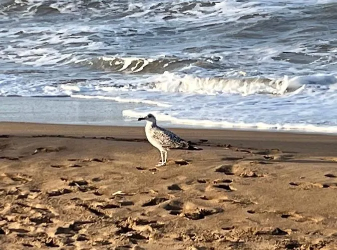 아파트 Urb Oasis Park Ii Denia, Marinas